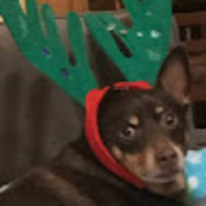 Meet your Posher, Julia